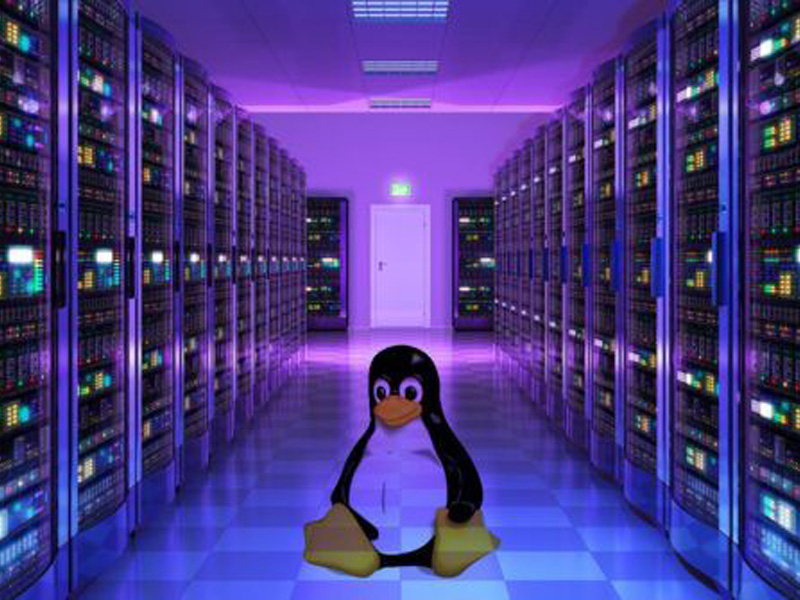 بررسی تفاوت هاست لینوکس و ویندوز