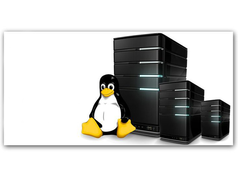 هاست لینوکس و ویندوز